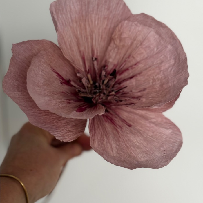 Produktbild för Vallmo, gammel rosa